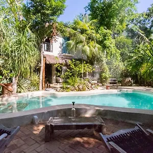 Verdeamar Eco Jungle Retreat Bed & Breakfast